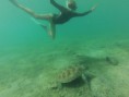 /album/galerie-de-photos-%3a-mon-amoureux-%c3%a0-mayotte-%3a-mardi-et-mercredi-11-et-12-03-2014/a8ieme-jour-ngouja-29-jpg/